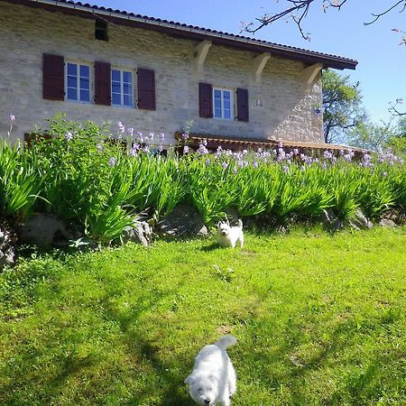 Chambre D'Hotes La Haie Fleurie Chevillard Exteriér fotografie